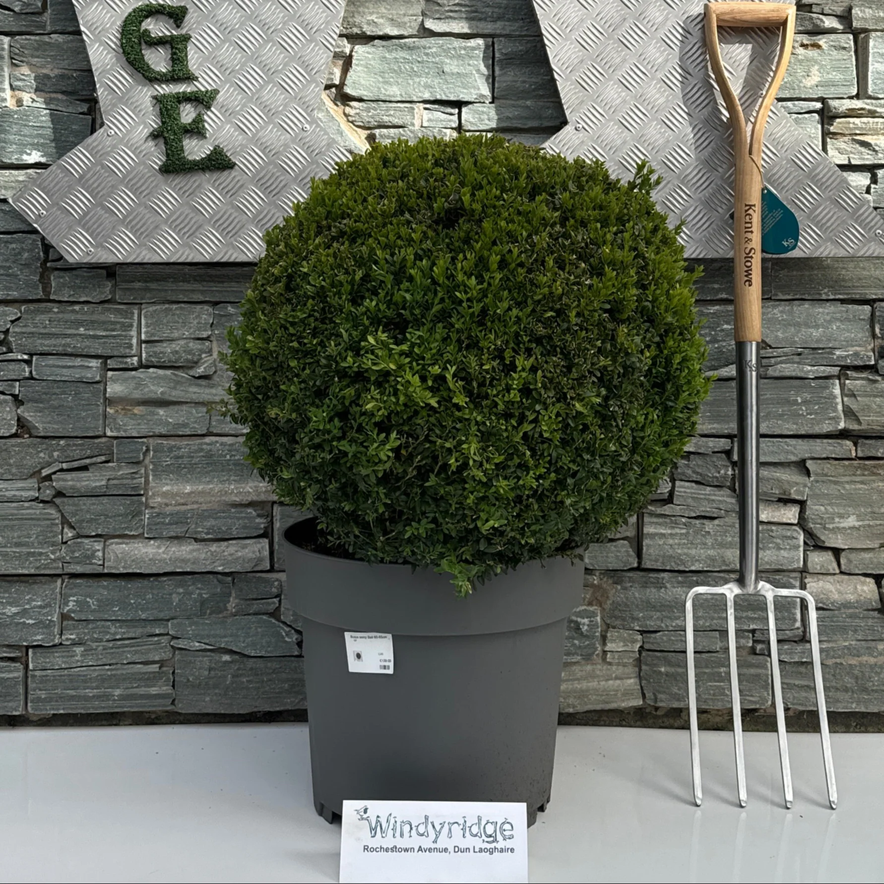 Standard Trees and Topiary