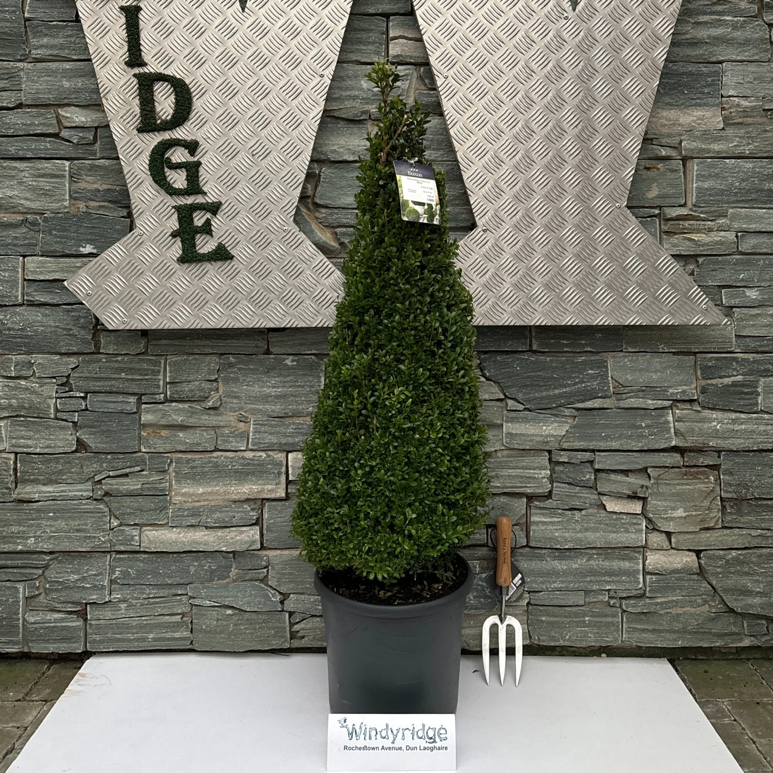 Topiary (shaped shrubs)
